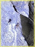 IMG_8010.JPG