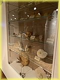 IMG_8023.JPG