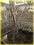 IMG_8034.JPG