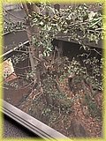 IMG_8035.JPG