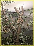 IMG_8037.JPG