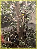 IMG_8038.JPG