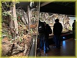 IMG_8040.JPG