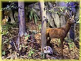 IMG_8042.JPG