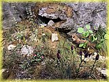 IMG_8044.JPG
