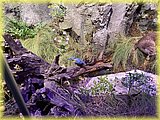 IMG_8045.JPG