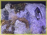 IMG_8046.JPG