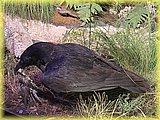 IMG_8048.JPG