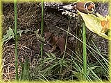 IMG_8049.JPG