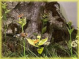 IMG_8050.JPG