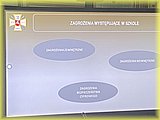 IMG_8515.JPG