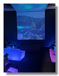 IMG-20251209-WA0054.jpg