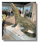 IMG-20251209-WA0058.jpg