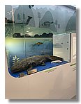 IMG-20251209-WA0065.jpg