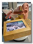 IMG-20251209-WA0085.jpg