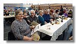 DSC00237.JPG