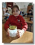 IMG_20251119_083730681_HDR.jpg