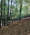 IMG-20251008-WA0002.jpg