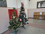 IMG_20251219_092142922_HDR.jpg