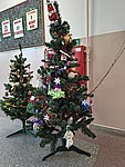 IMG_20251219_093422396_HDR.jpg