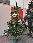 IMG_20251219_093430396_HDR.jpg