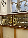 Pokazy_chemiczne048.JPG