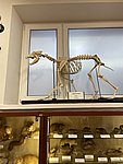 Pokazy_chemiczne050.JPG