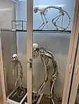 Pokazy_chemiczne144.JPG