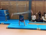 IMG_20260128_130415.jpg