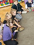 IMG-20251027-WA0014.jpg
