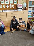 IMG-20251028-WA0053.jpg